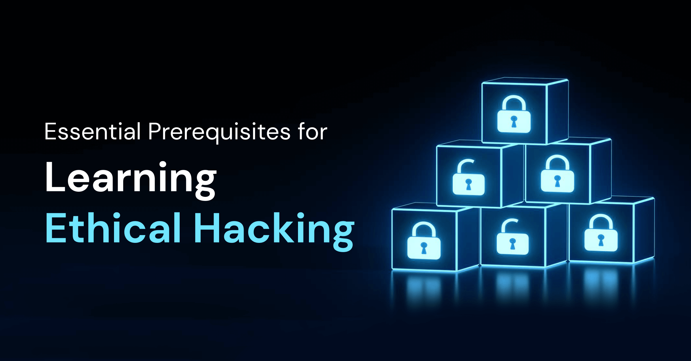 learn ethical hacking websites